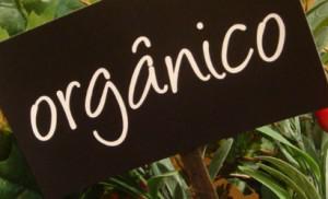 placa-de-alimentos-organicos